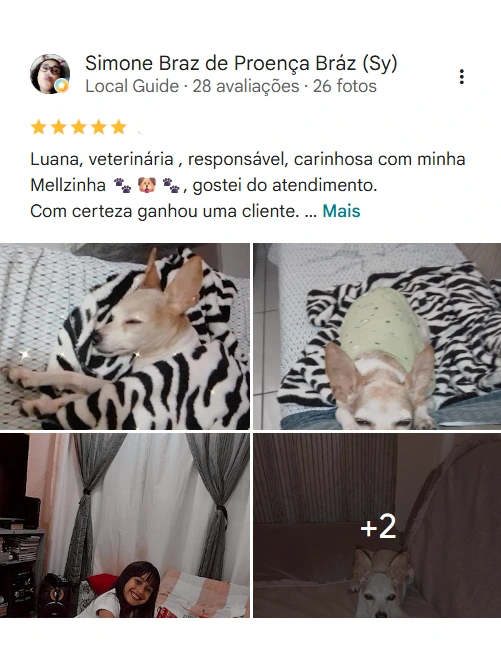 Avaliação 5 estrelas