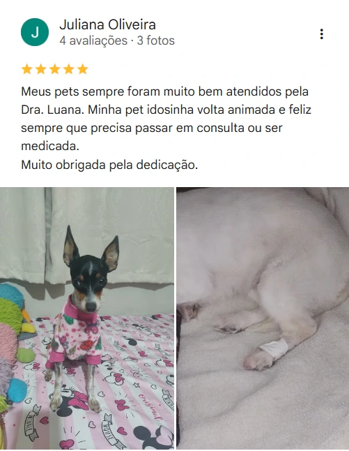 Avaliação 5 estrelas