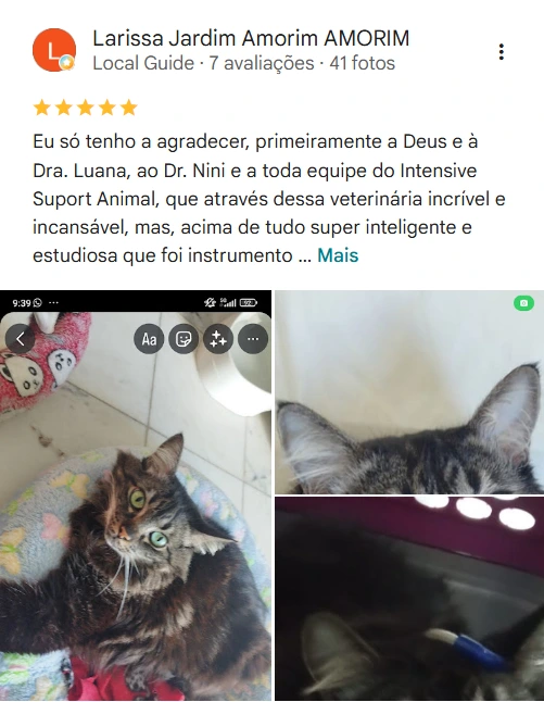 Avaliação 5 estrelas