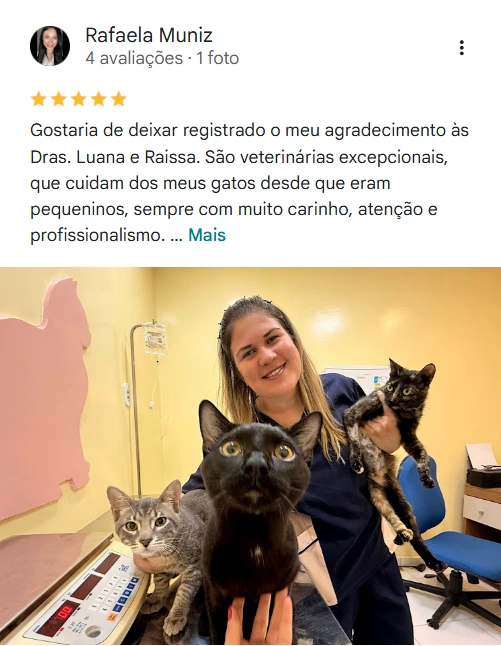 Avaliação 5 estrelas